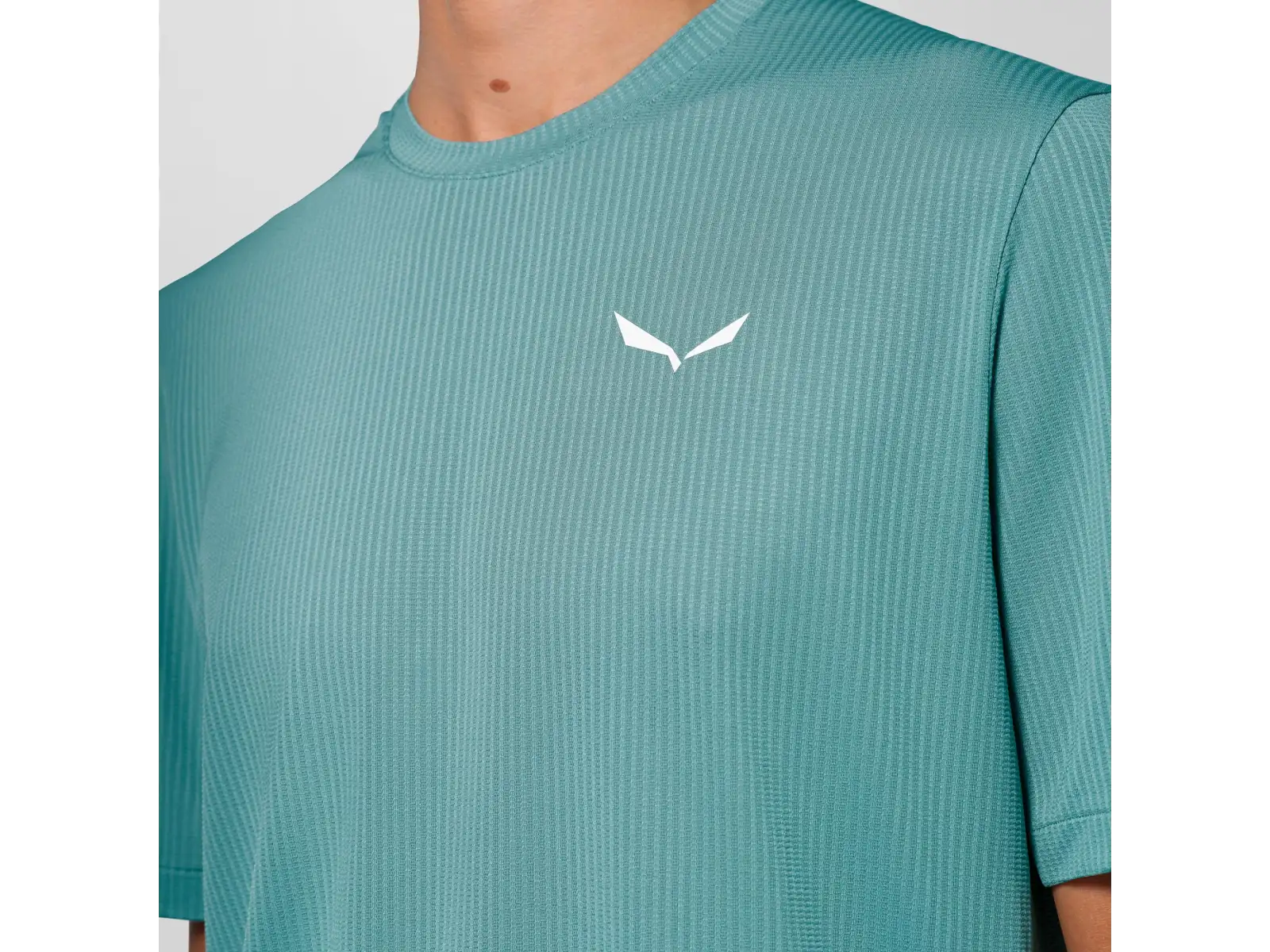Salewa Pedroc Dry Light Herren T-Shirt Kurzarm Willow