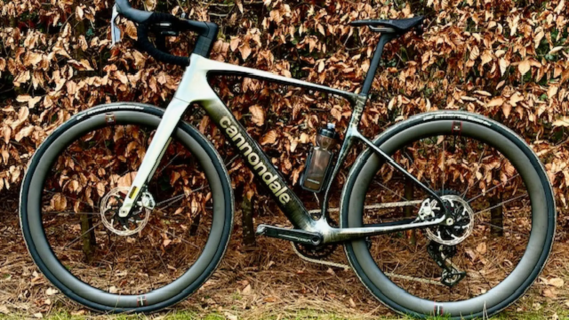 Rezension: Robert und sein Cannondale Synapse
