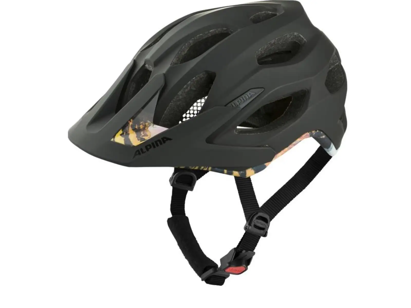 Alpina Carapax 2.0 Helm Schwarz Matt Michael Cina