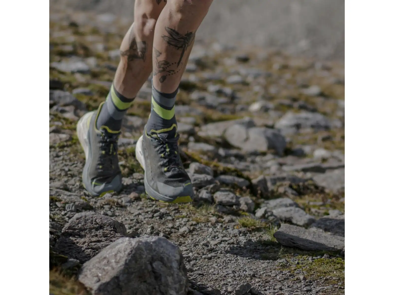 Dynafit Run Wild Crew Laufsocken Pink Glo/0720