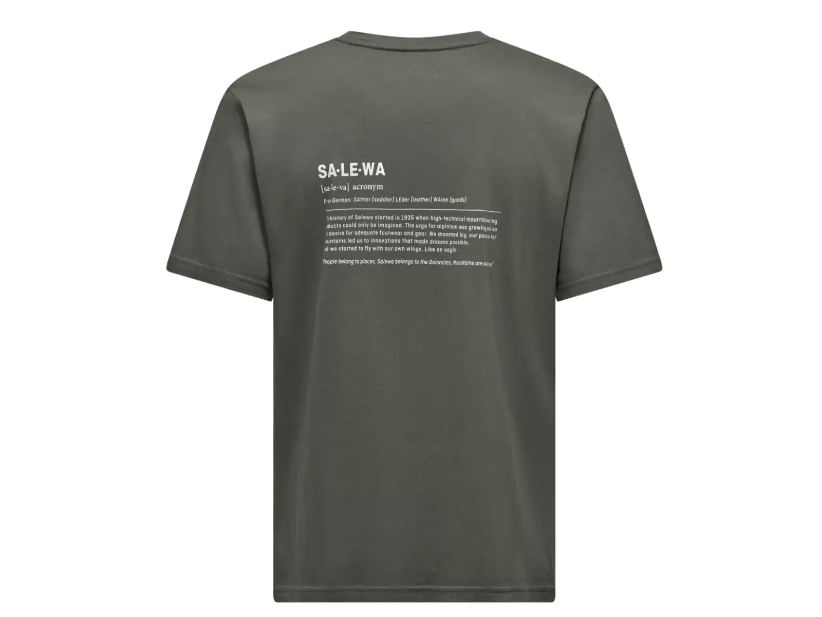 Salewa Eagle Vocab Herren T-Shirt Kurzarm Faded Green