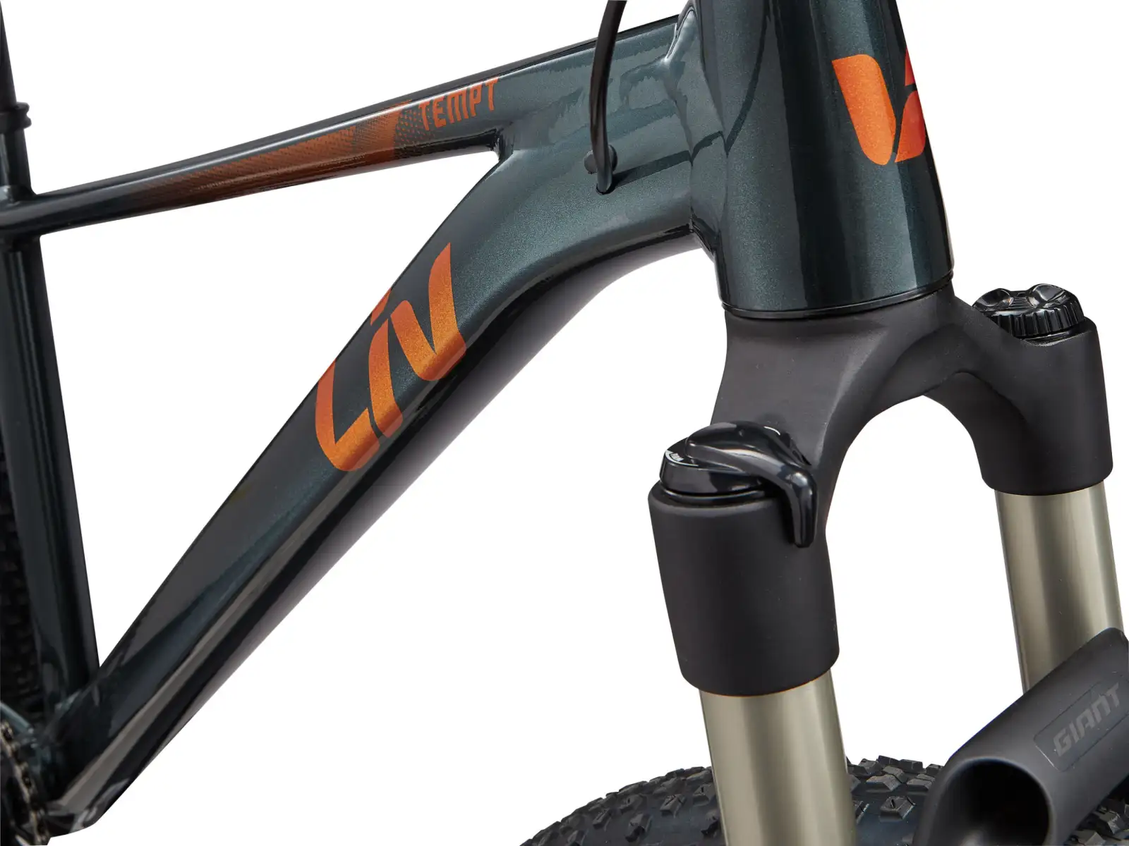 Liv Tempt 0 Damen-Mountainbike 29" Asphalt Green