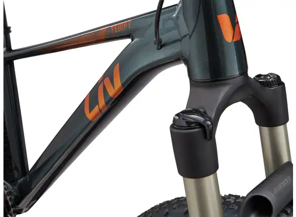 Liv Tempt 0 Damen-Mountainbike 29" Asphalt Green