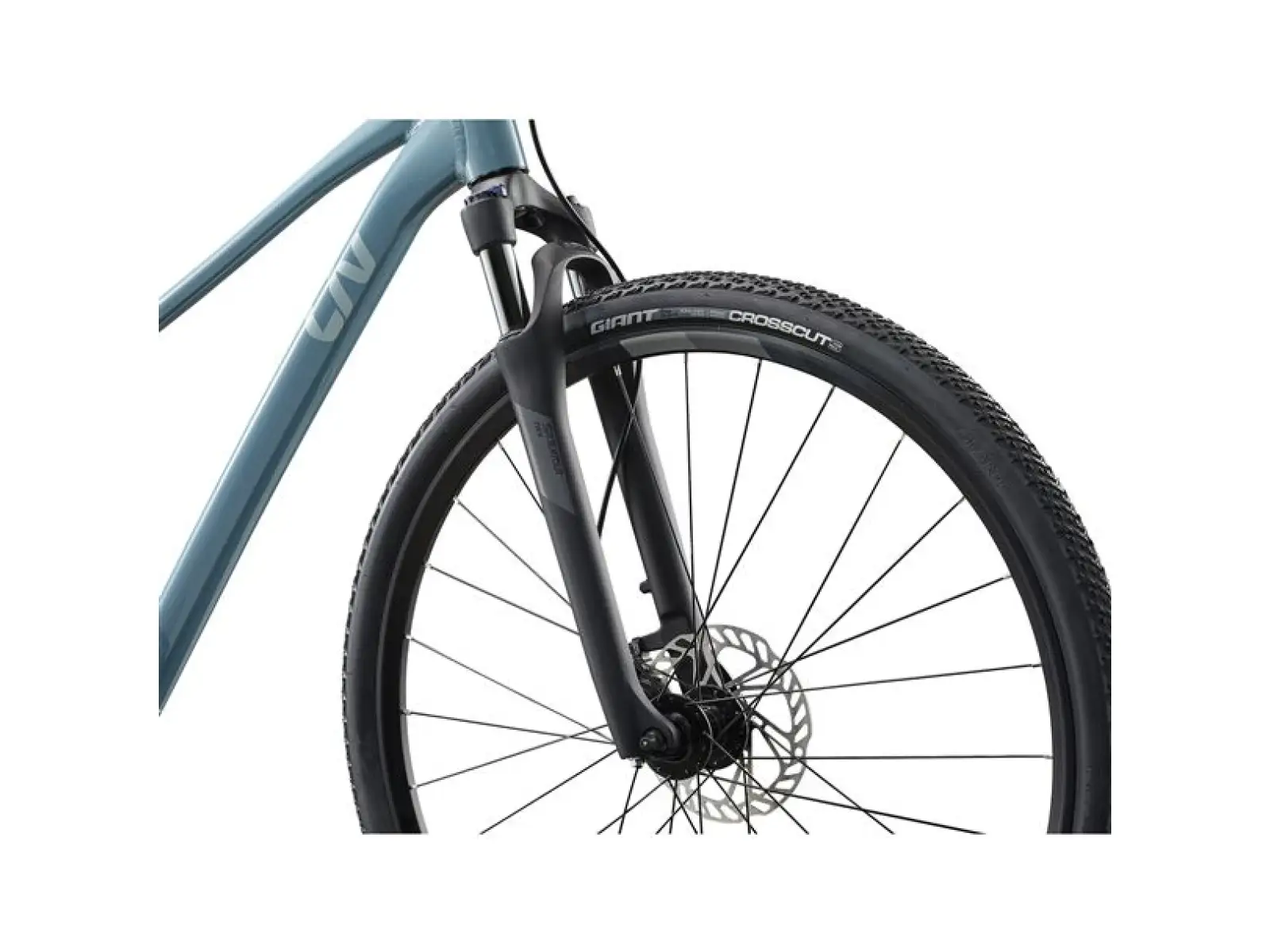 Giant Rove 2 Trekkingrad Storm Cloud