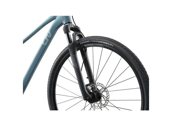 Giant Rove 2 Trekkingrad Storm Cloud