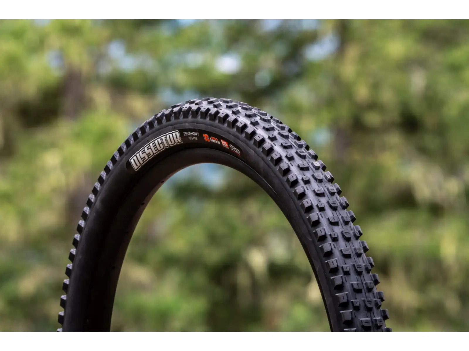 Maxxis Minion DHR II MaxxTerra/Exo/TR 29x2,60" MTB Reifen Kevlar