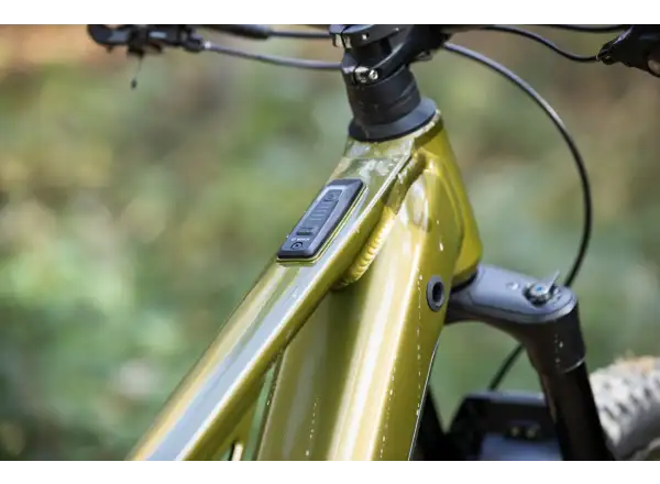 Superior eXF 9049 B vollgefedertes E-Bike Gloss Olive Mettalic/Schwarz