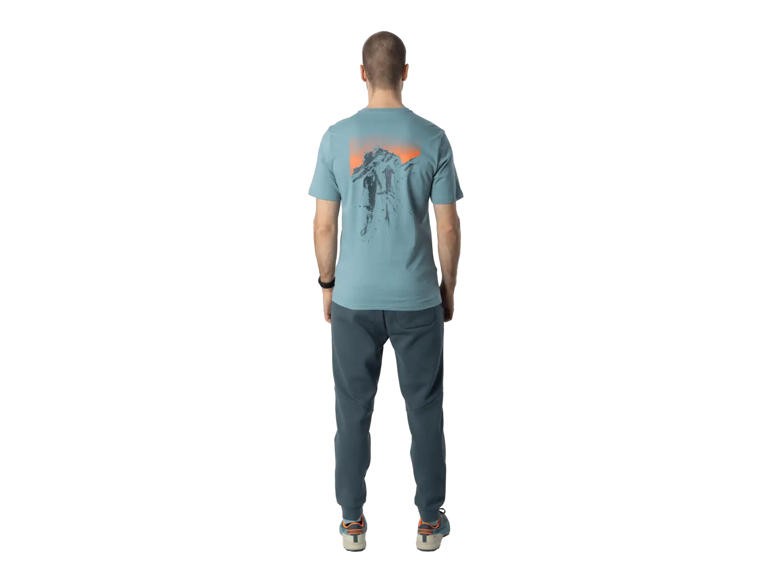 Dynafit Back Graphic Cotton Herren T-Shirt Kurzarm Smoke Blue/Approach