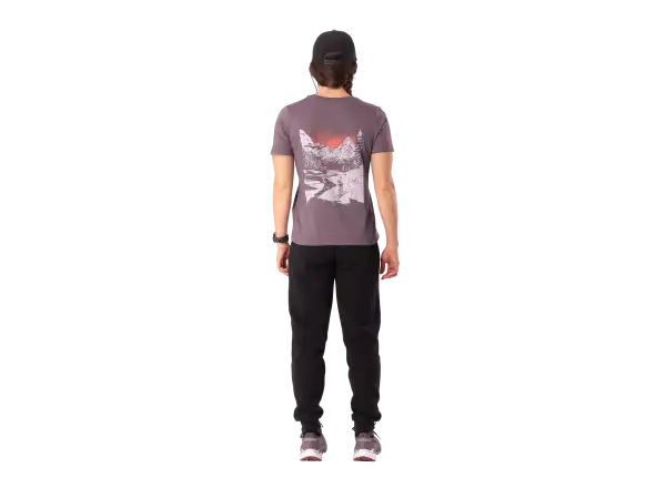 Dynafit Back Graphic Cotton Damen T-Shirt Kurzarm Ephemera/Valley