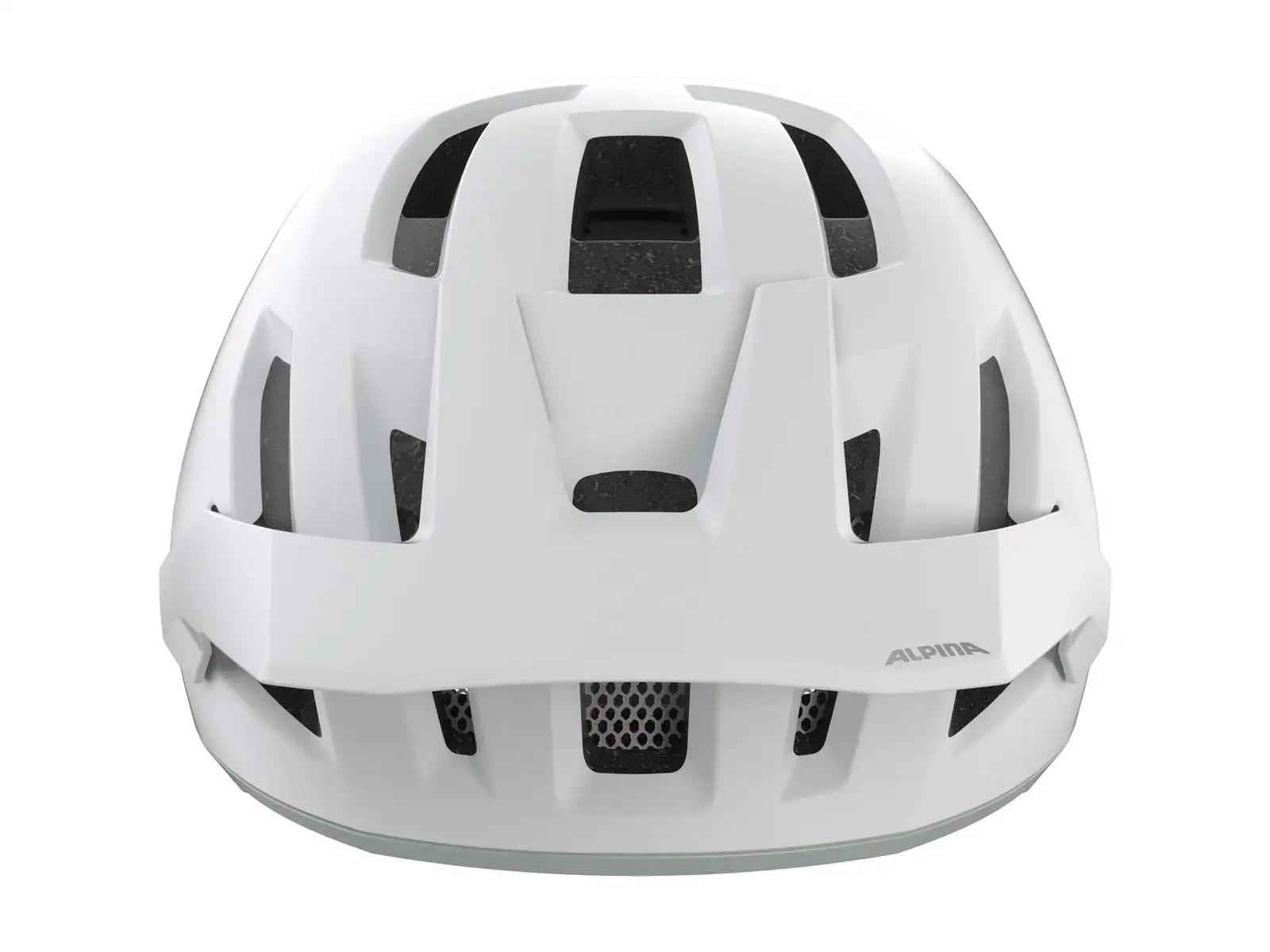 Alpina Taunus Helm Smoke/Grey Matt