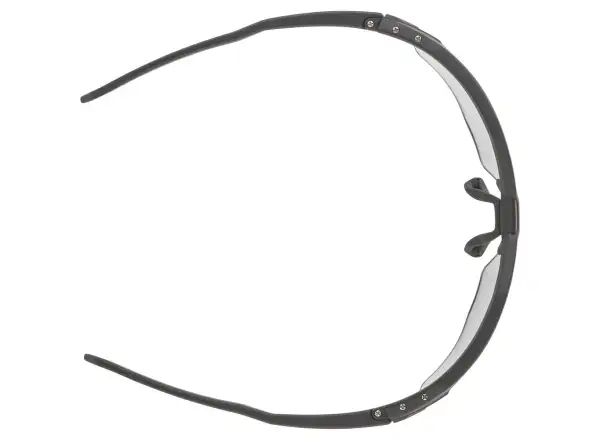 Alpina Twist Six HR Brille Black Matt