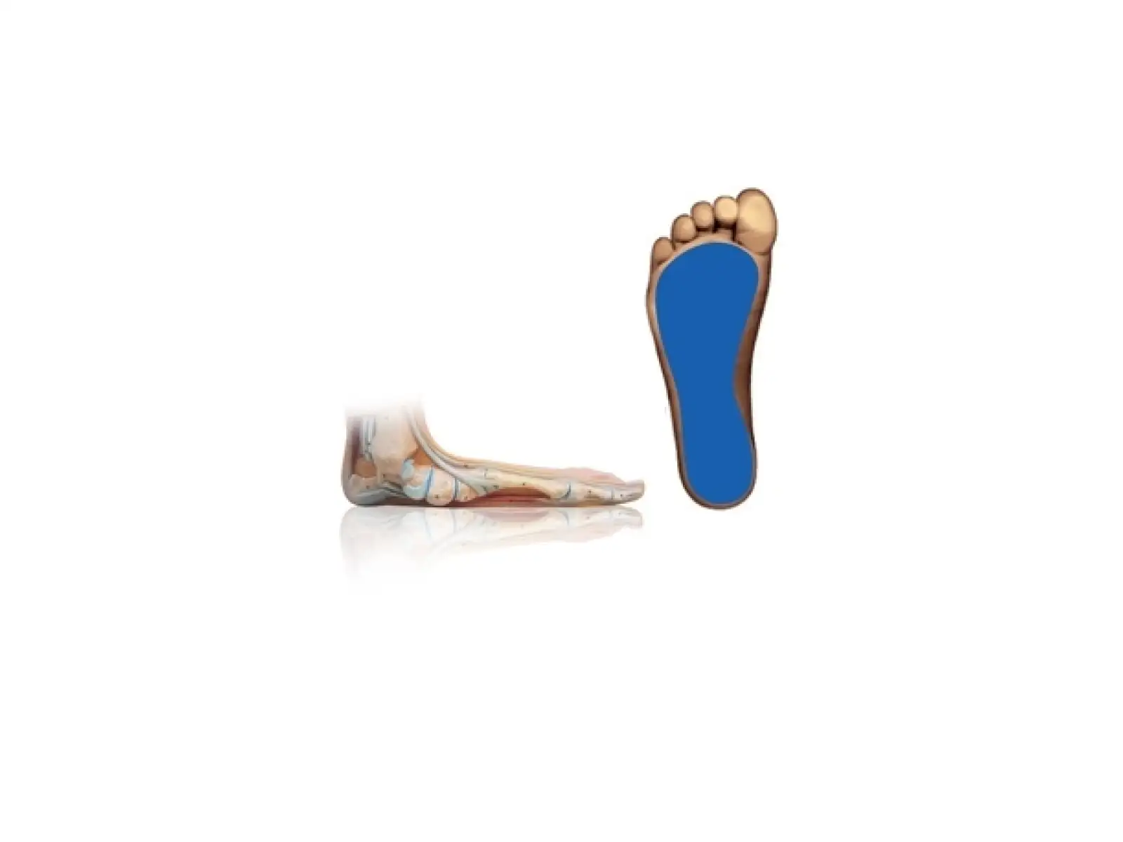 Sidas 3feet Comfort DE Low Arch Einlegen flache Fußgewölbe 1 Paar
