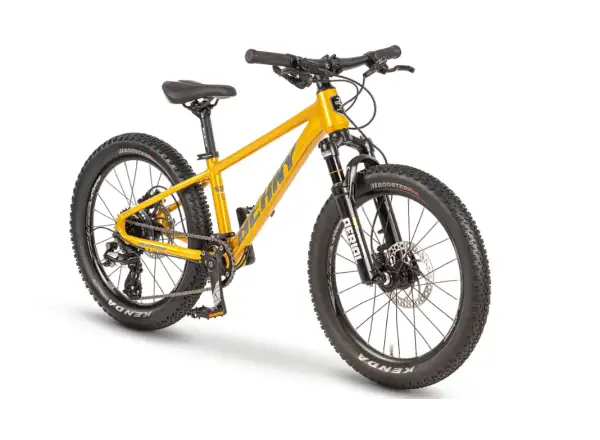 Beany Blaster 20 Kinderfahrrad Gold