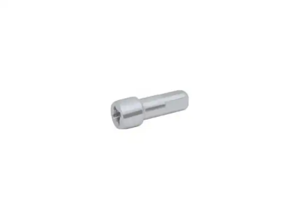 Shimano Nippel für WH-RS10 Silber