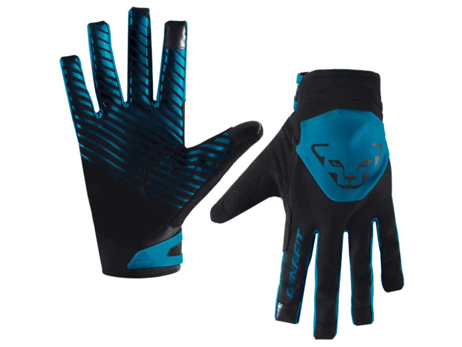 Dynafit Radical 2 Softshell Handschuhe Reef