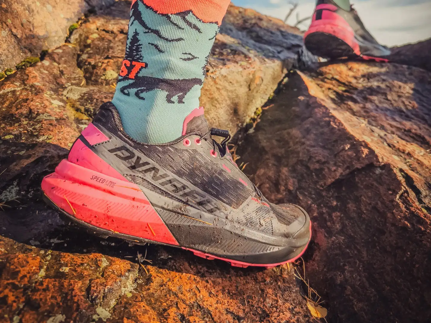Dynafit Ultra Pro 2 - Erster Eindruck vom neuen Trail-Laufschuh