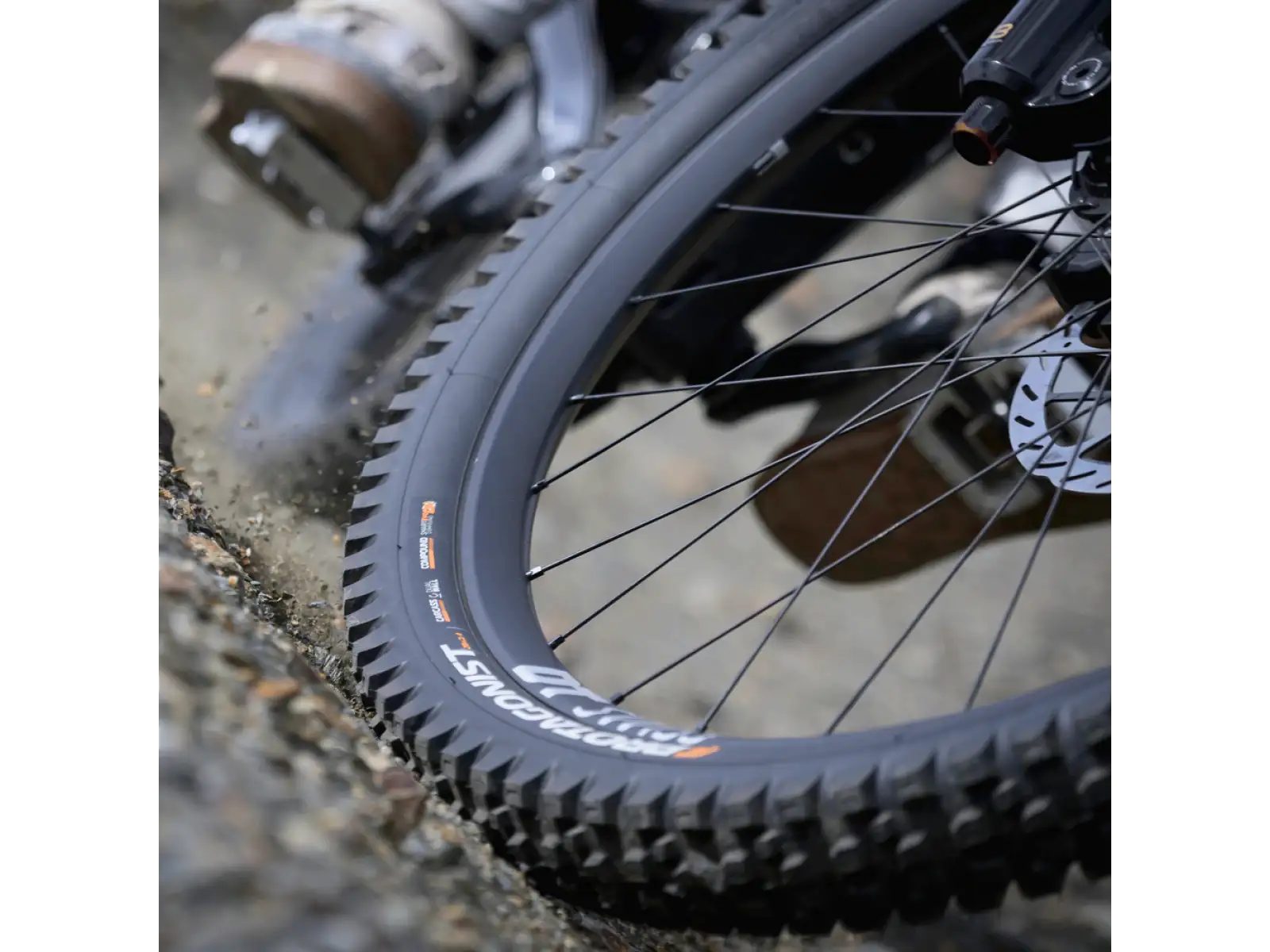 Pirelli CAST Protagonist DW, SmartEVO DH, 29x2.4, MTB Reifen schwarz