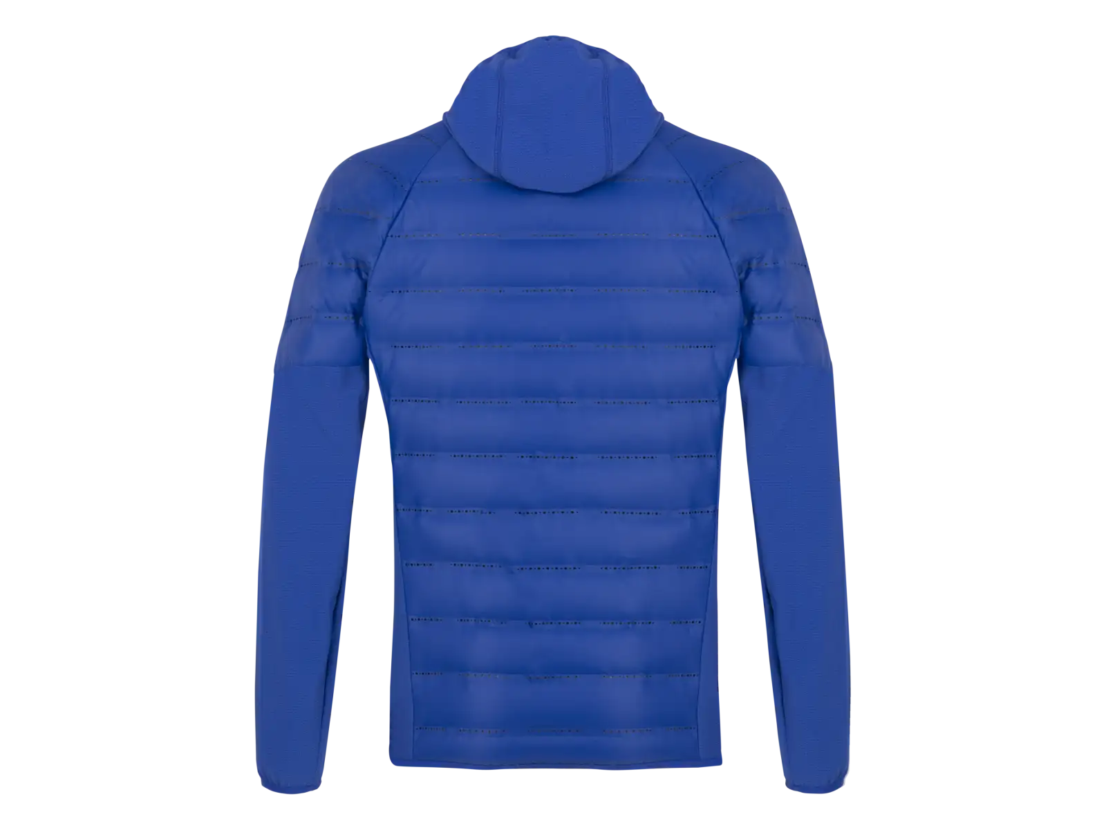 Salewa Agner Hybrid RDS DWN Herrenjacke Electric