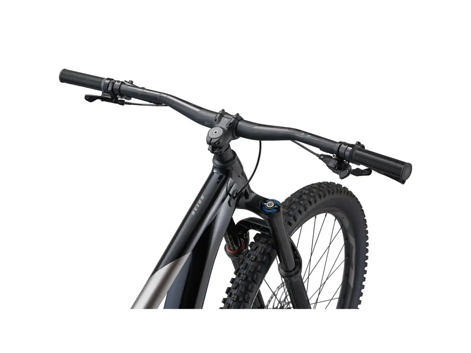 Giant Reign 2 Mountainbike schwarz/metallisch