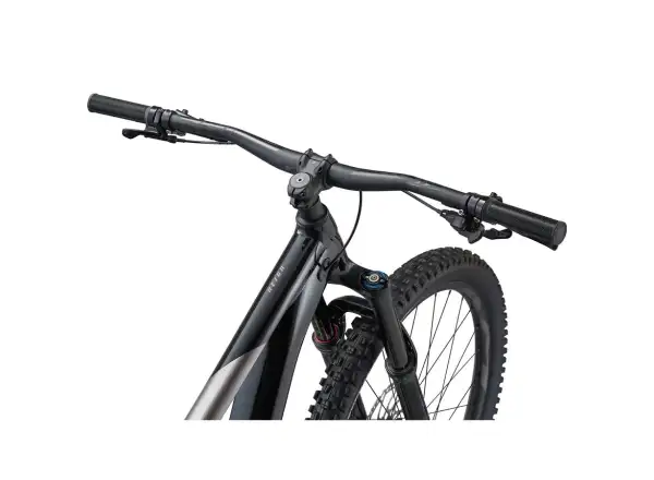Giant Reign 2 Mountainbike schwarz/metallisch