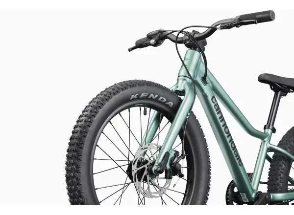 Cannondale Kids Trail Plus 20 Kinderfahrrad Cactus Green