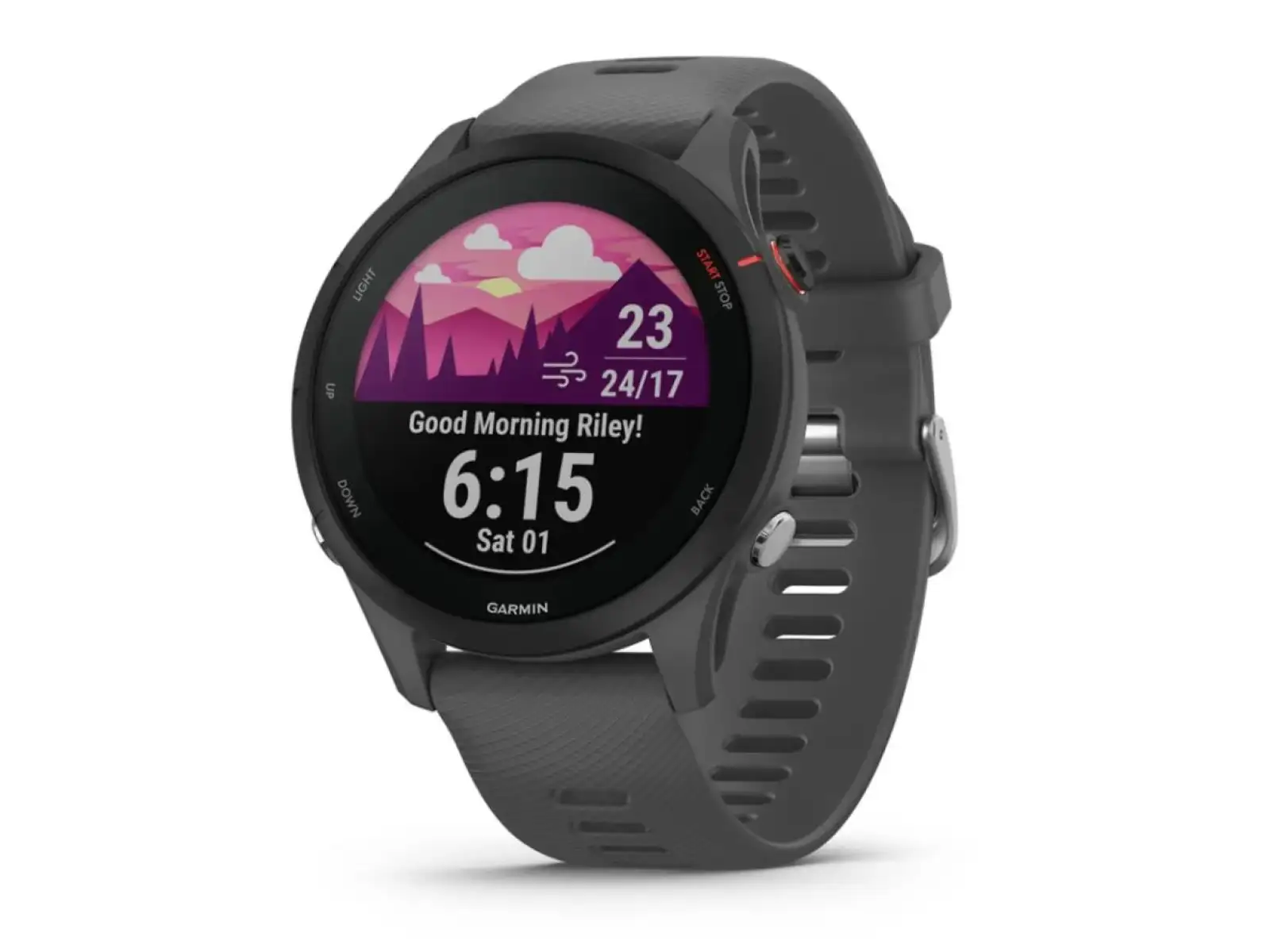 Garmin Forerunner 255 Smartwatch Slate Gray