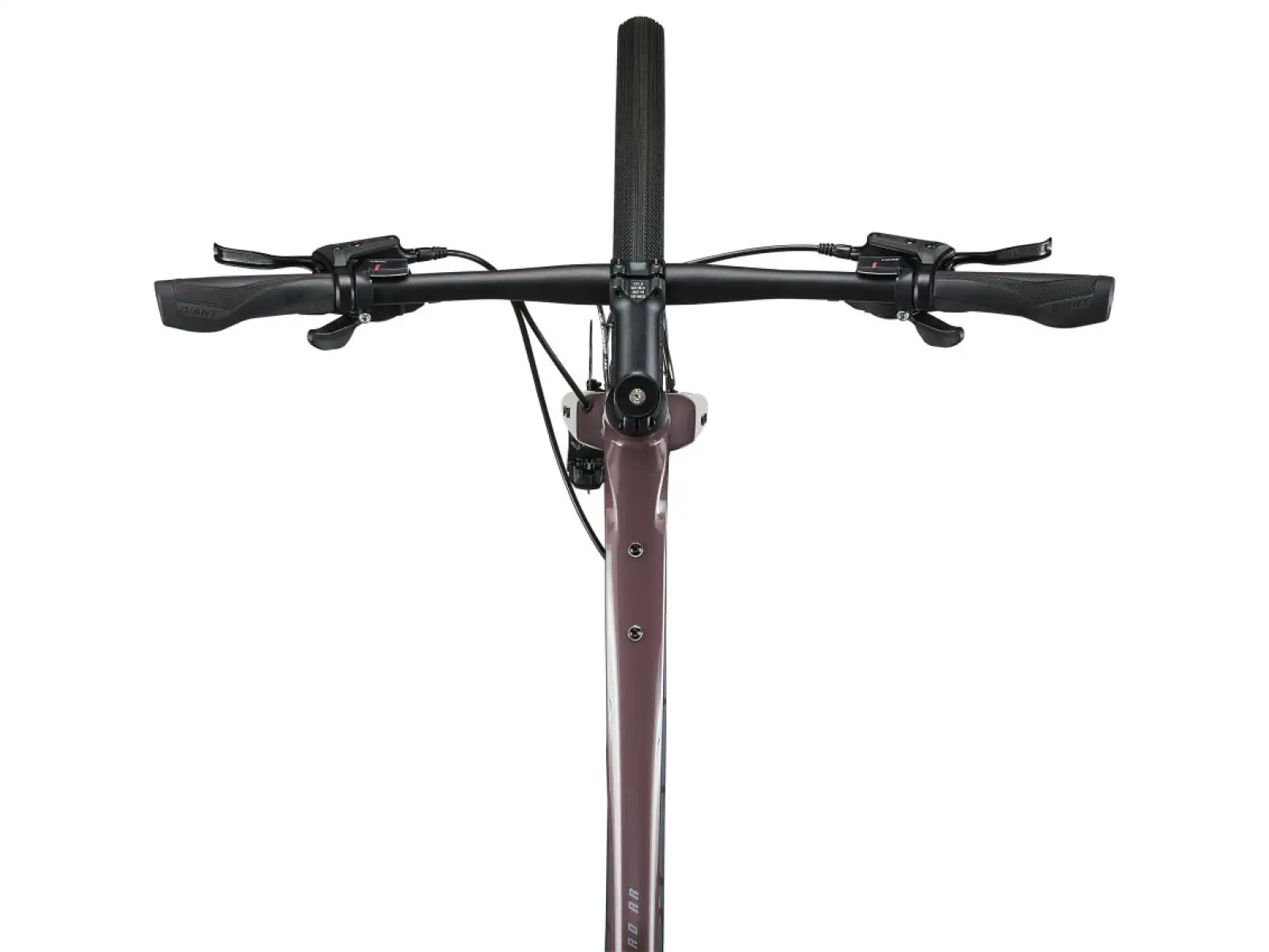 Giant FastRoad AR 3 Fitness Fahrrad charcoal plum