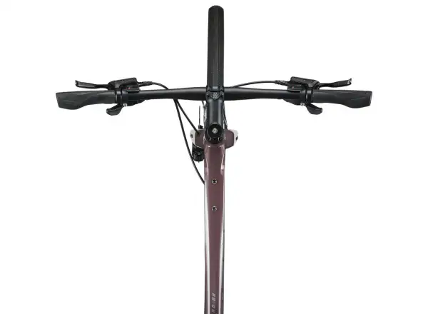 Giant FastRoad AR 3 Fitness Fahrrad charcoal plum