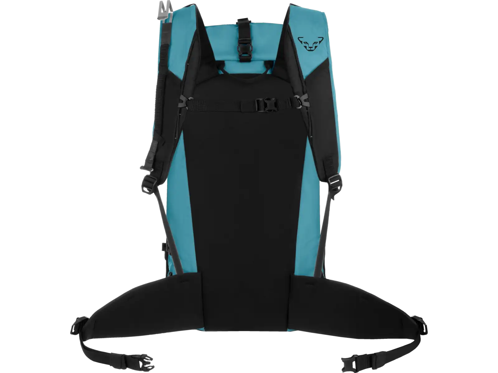Dynafit Expedition Rucksack 36 l Sturmblau/Heidelbeere