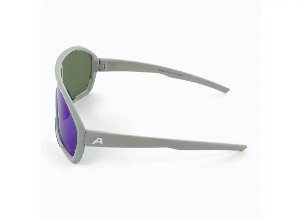 Alpina Bonfire Q-LITE Brille Smoke Grey Matt