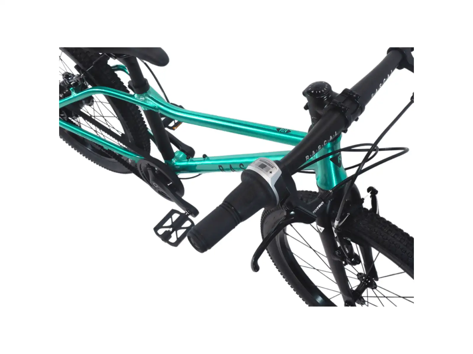 Rascal 20 Limited Kinderfahrrad Emerald