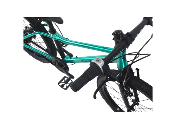 Rascal 20 Limited Kinderfahrrad Emerald