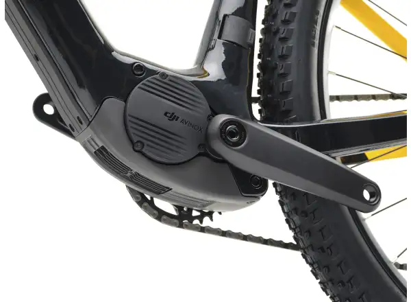Crussis e-Hard 11.11 800Wh Elektromountainbike