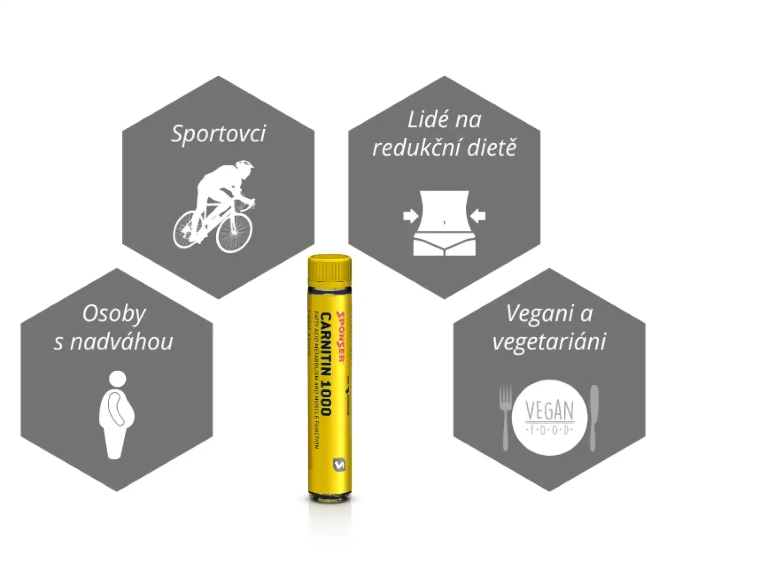 Sponser Carnitin 1000 – Ampullen – Fettstoffwechsel