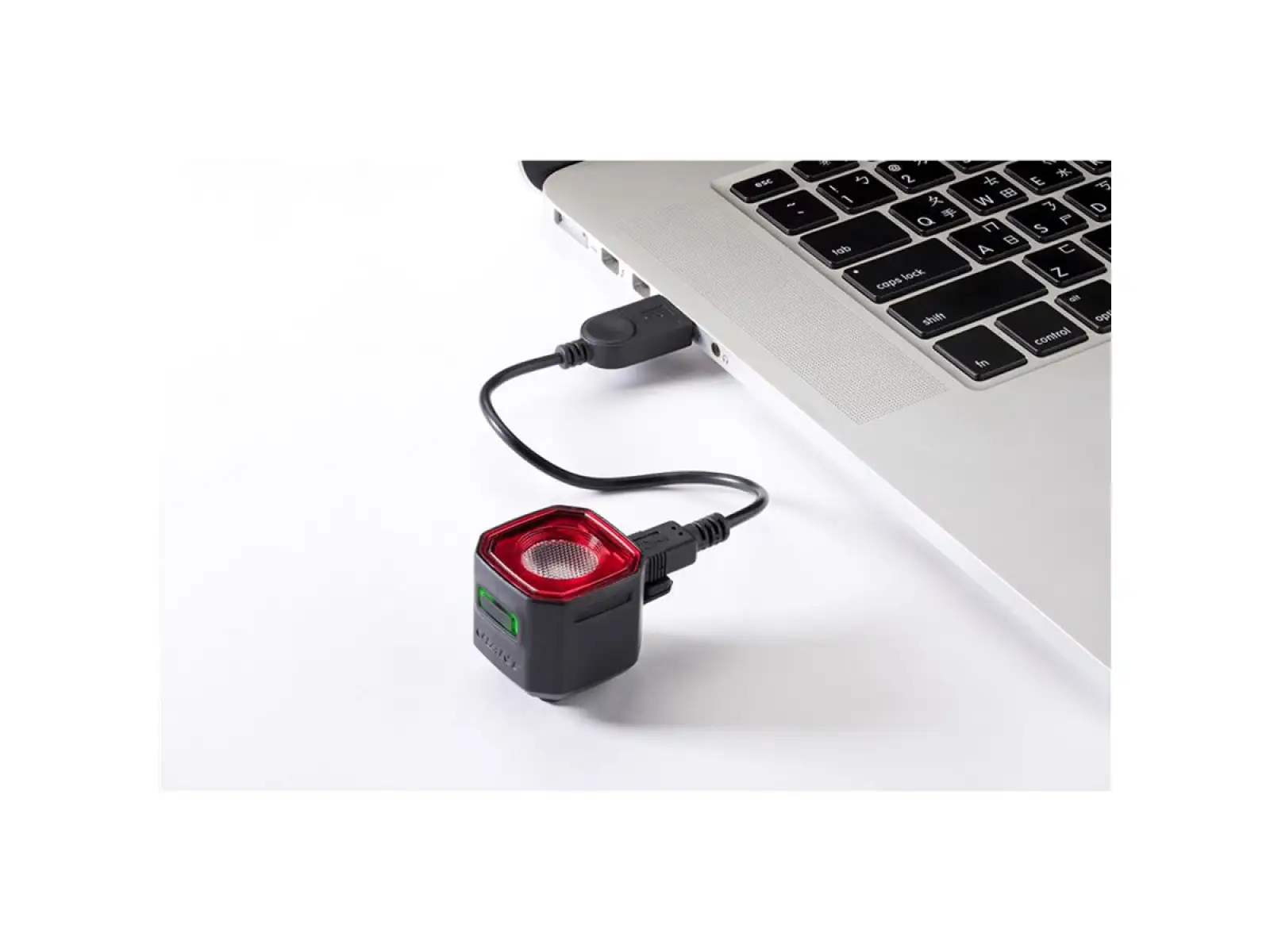 Giant Recon TL 100 Rücklicht USB