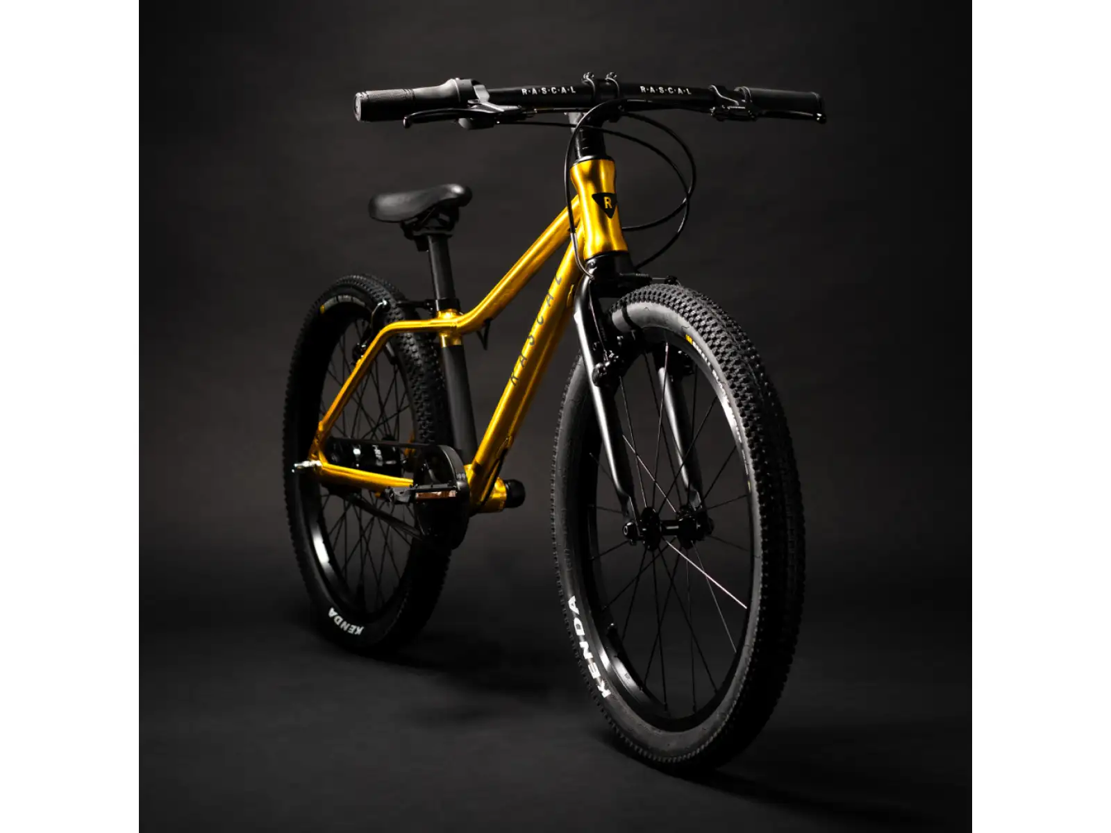 Rascal 20 Kinderfahrrad Gold