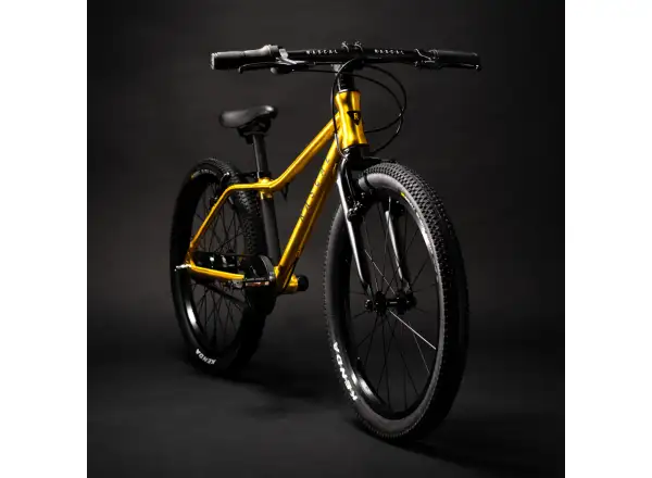Rascal 20 Kinderfahrrad Gold