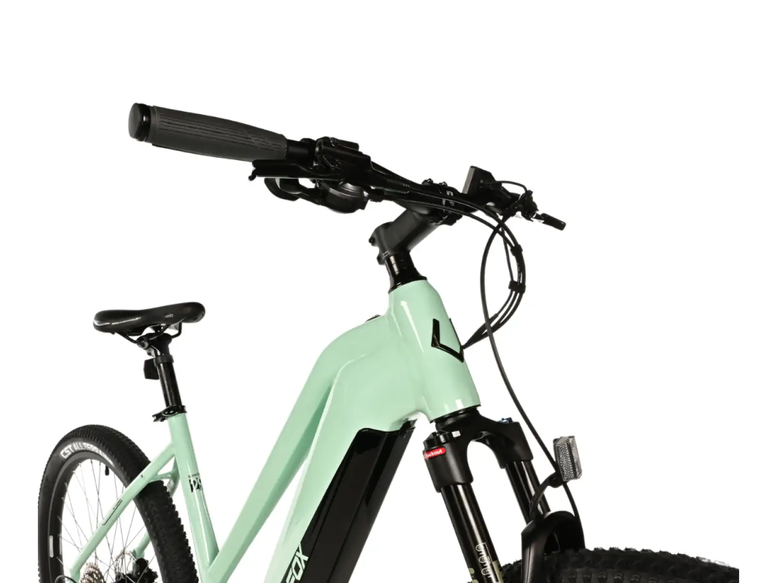 Leader Fox Swan 29 720Wh Damen E-Mountainbike grün