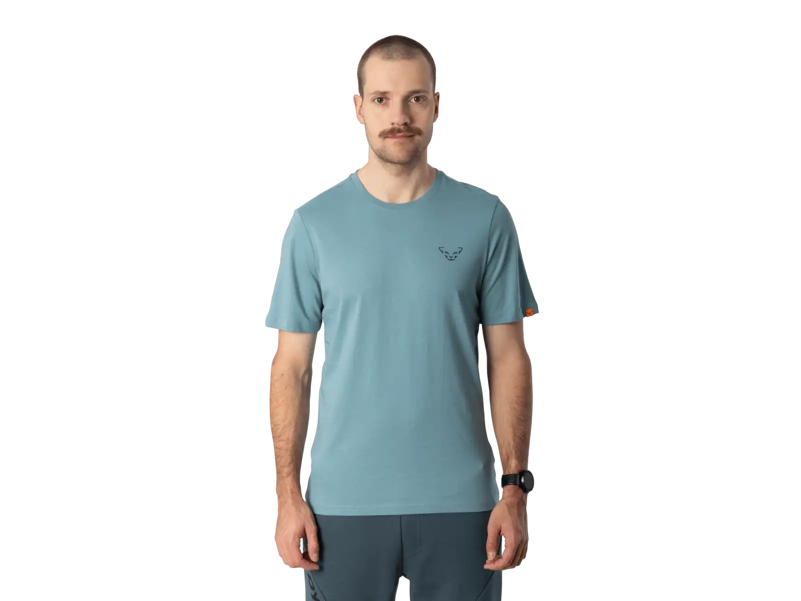 Dynafit Back Graphic Cotton Herren T-Shirt Kurzarm Smoke Blue/Approach