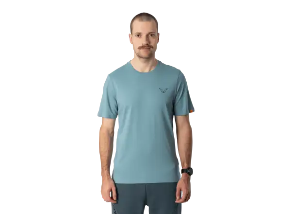 Dynafit Back Graphic Cotton Herren T-Shirt Kurzarm Smoke Blue/Approach
