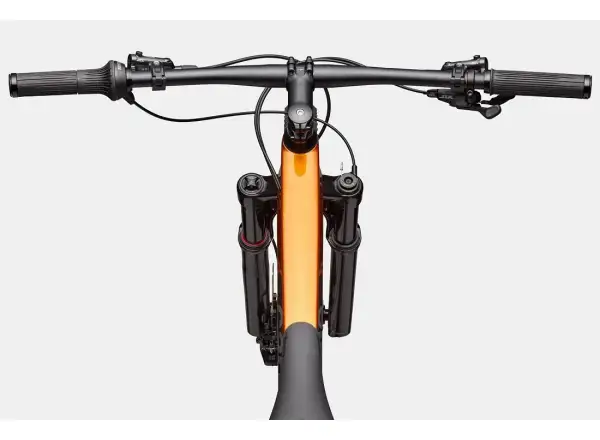 Cannondale Scalpel HT Carbon 2 Tiger Eye