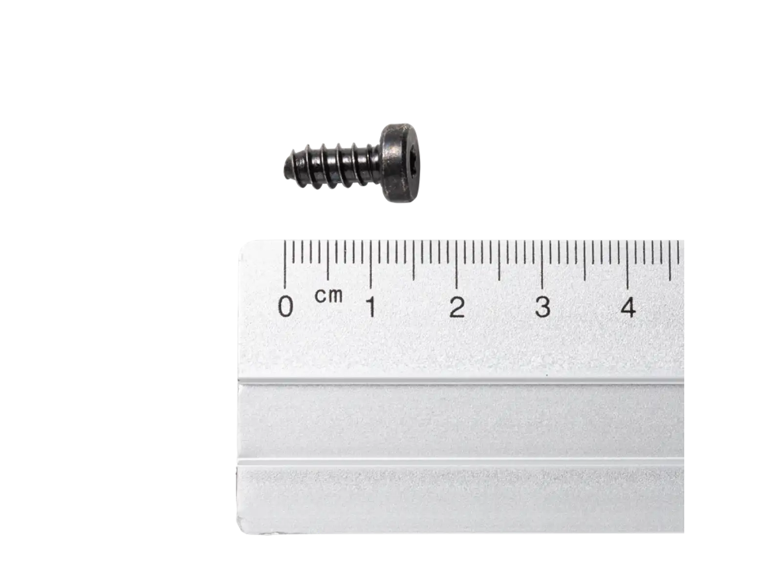 Dynafit Schraube F 6395 / 15,5 MM / TX 20 Schrauben für Dynafit-Bindungen Preis pro Stück