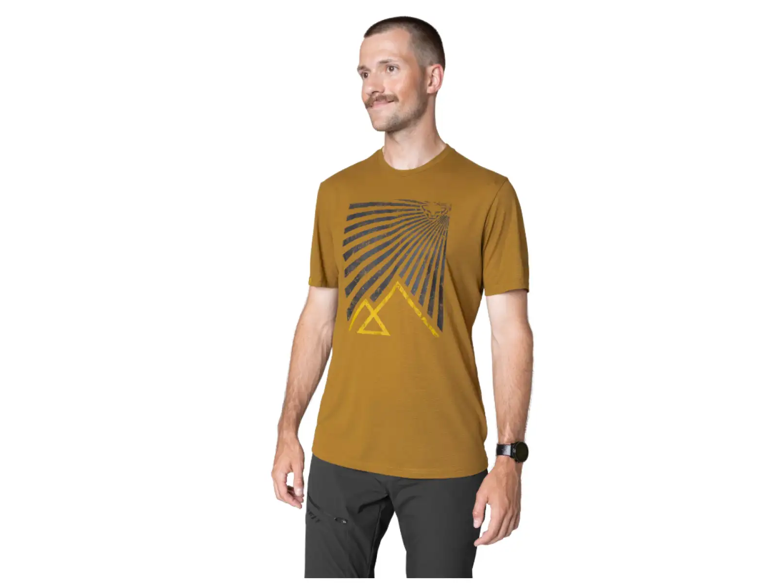 Dynafit Transalper Graphic Herren T-Shirt Kurzarm Relic