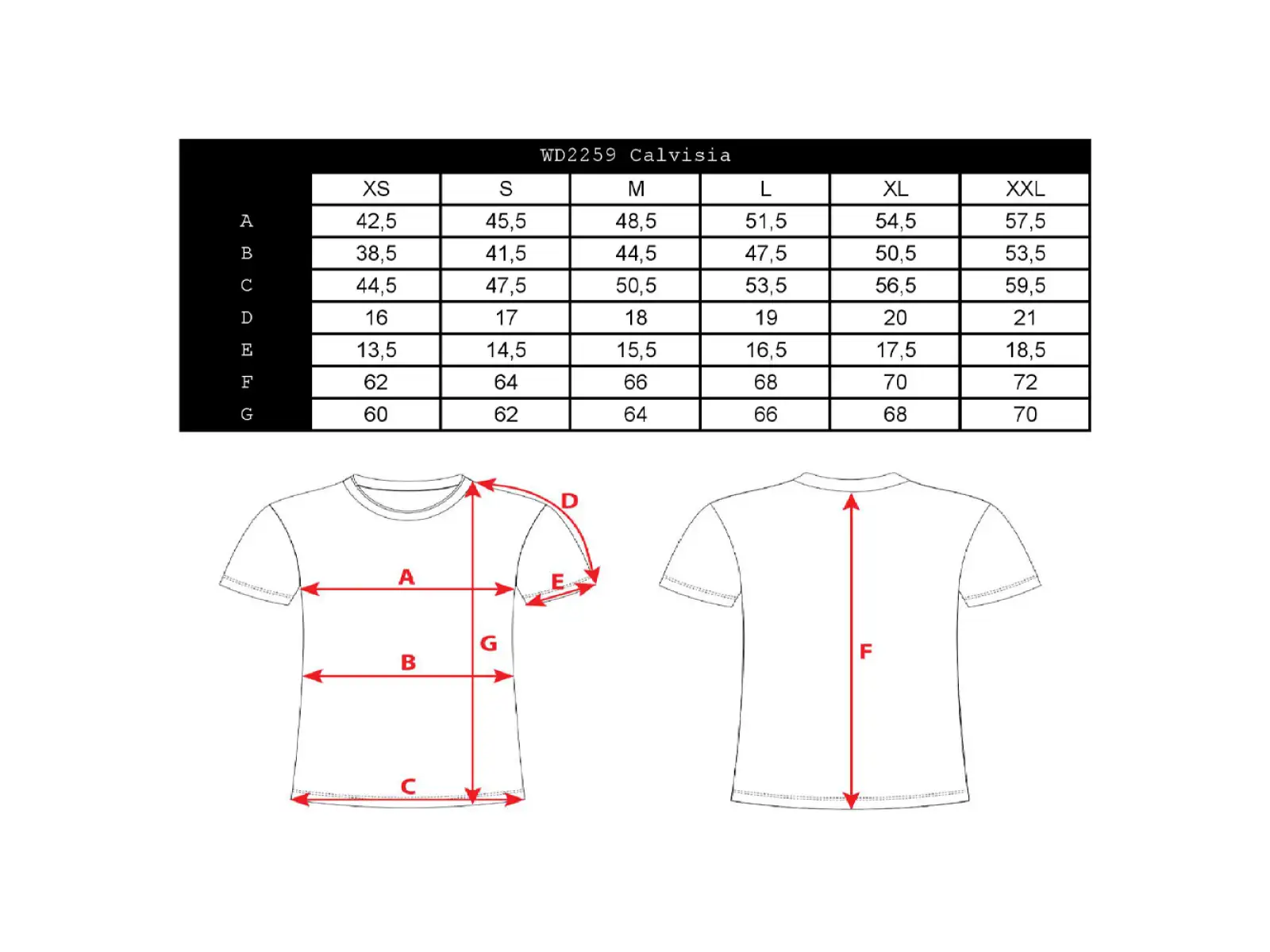 Silvini Calvisia Damen T-Shirt mit kurzen Ärmeln in Cloud/Grau