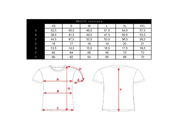 Silvini Calvisia Damen T-Shirt mit kurzen Ärmeln in Cloud/Grau