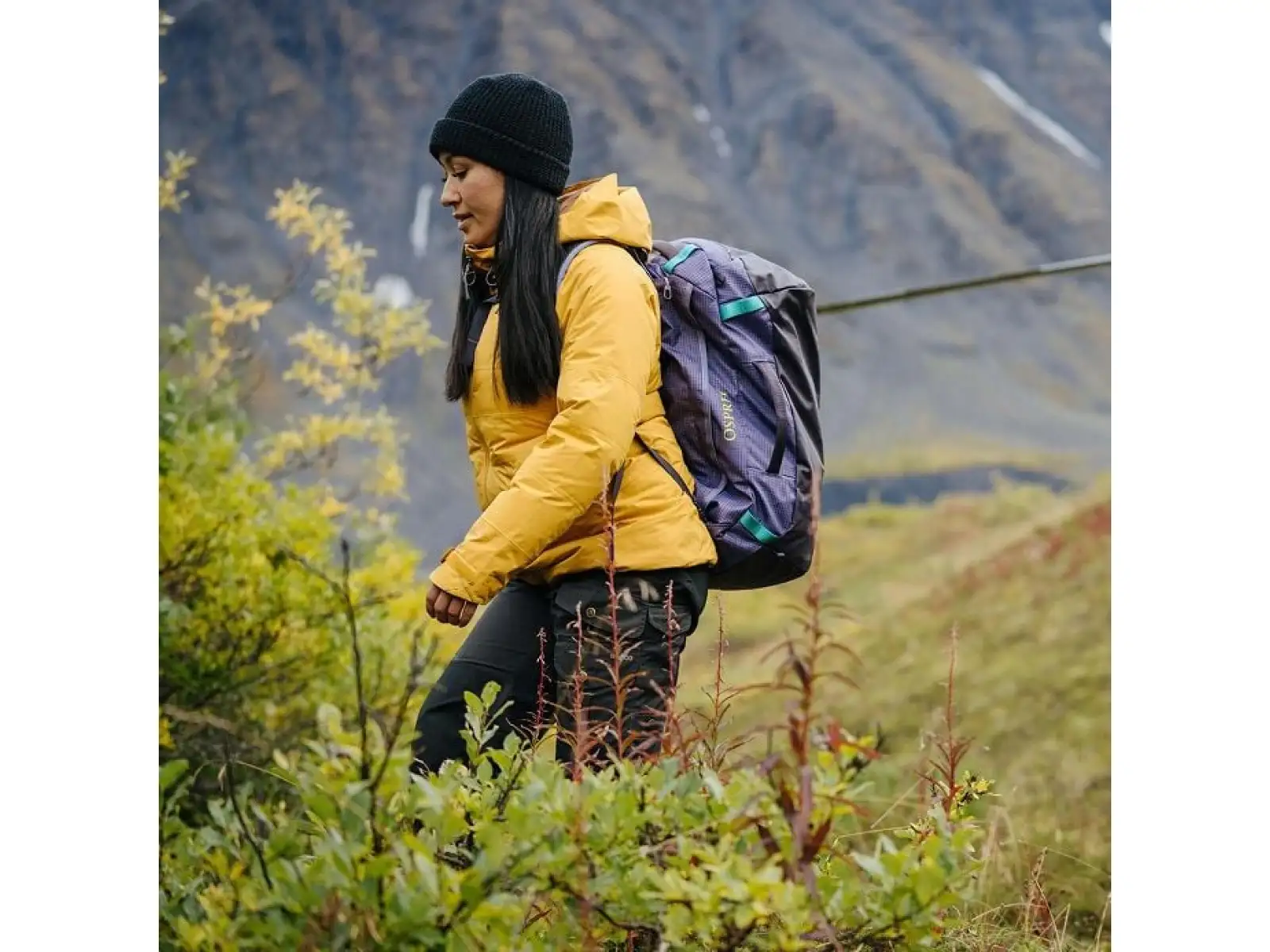 Osprey Transporter Duffel 40 Reisetasche Pine Leaf
