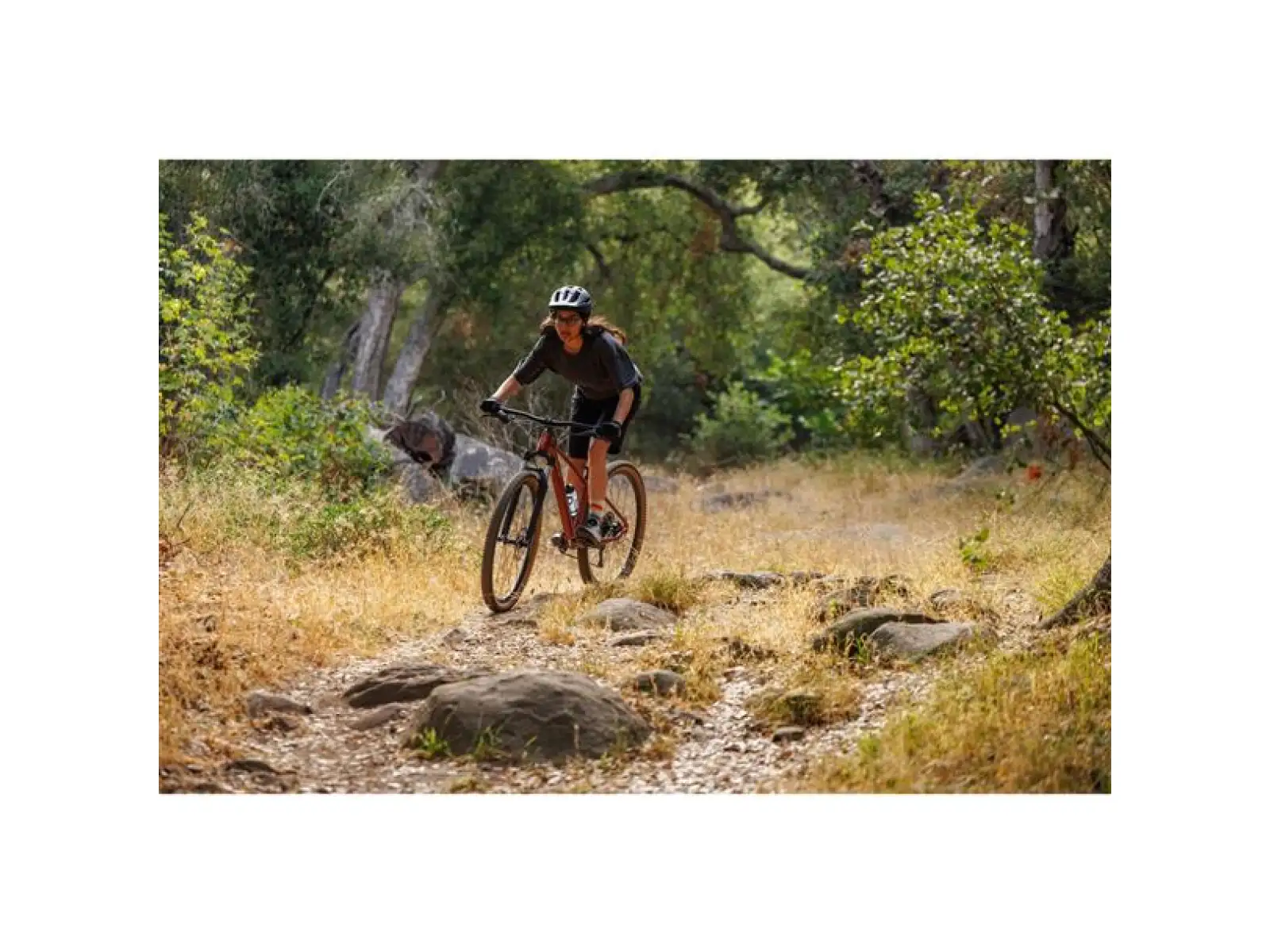 Giant Tempt 29 2 Mountainbike Mars Dust