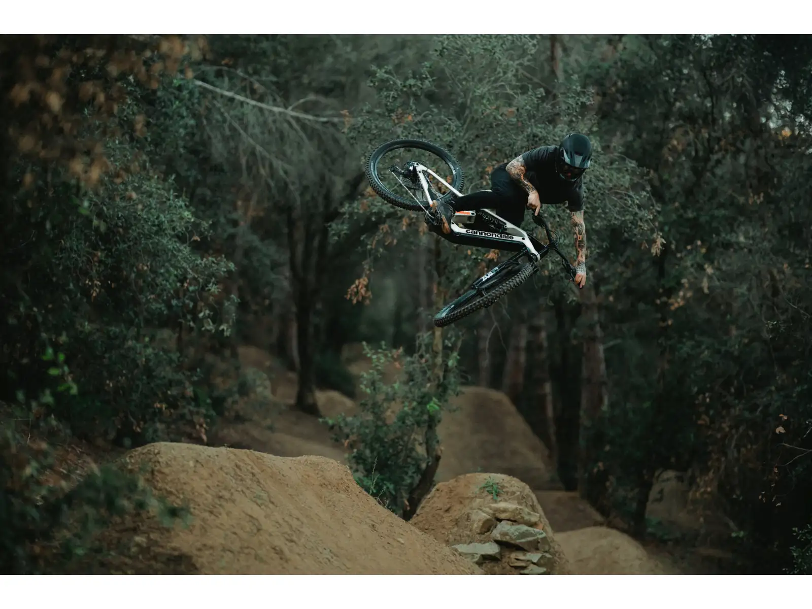 Cannondale Moterra Carbon LT 1 vollgefedertes E-Bike Tiger Shark