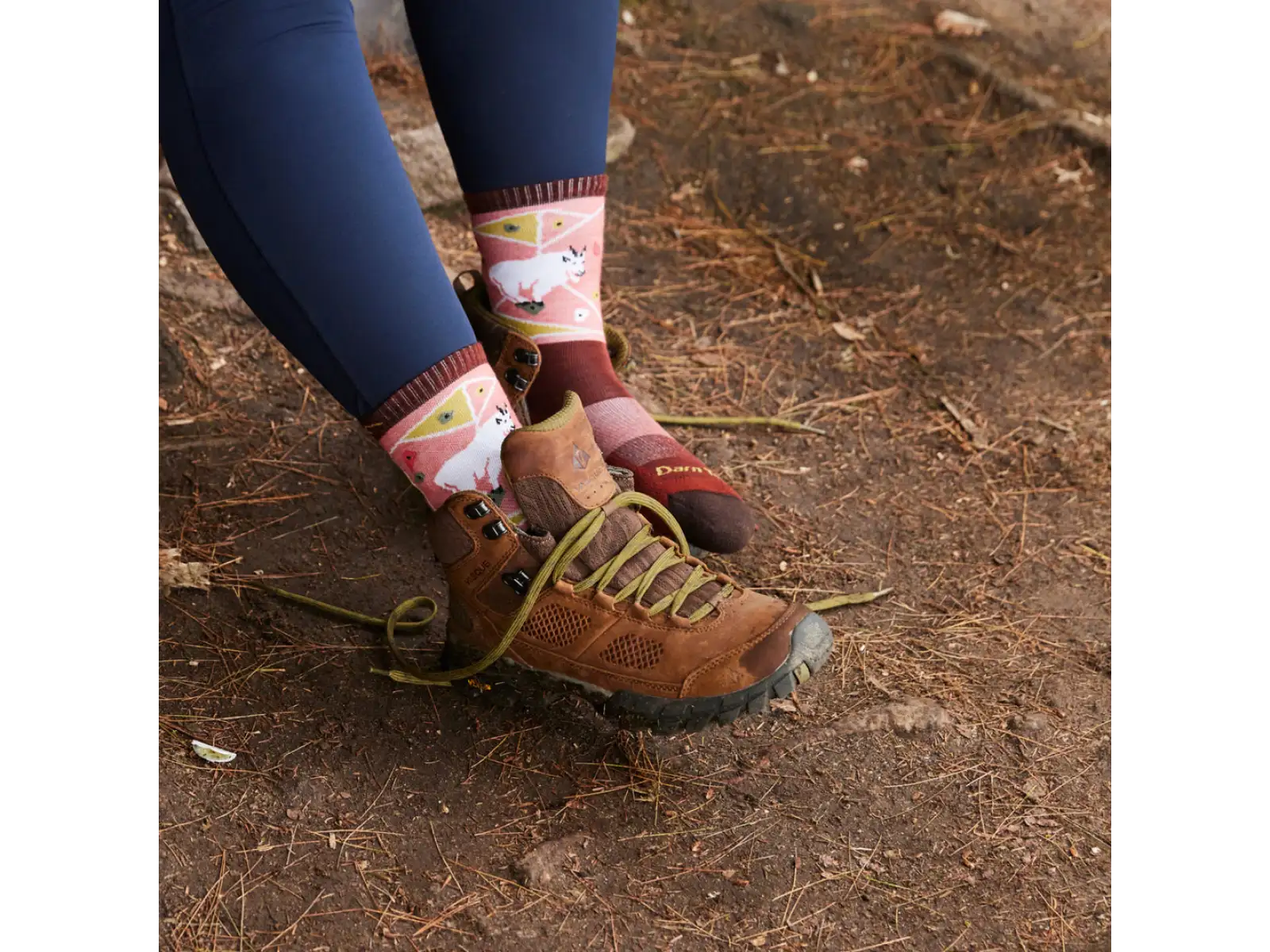 Darn Tough Critter Club Micro Crew Lightweight Cushion Damen Socken canyon