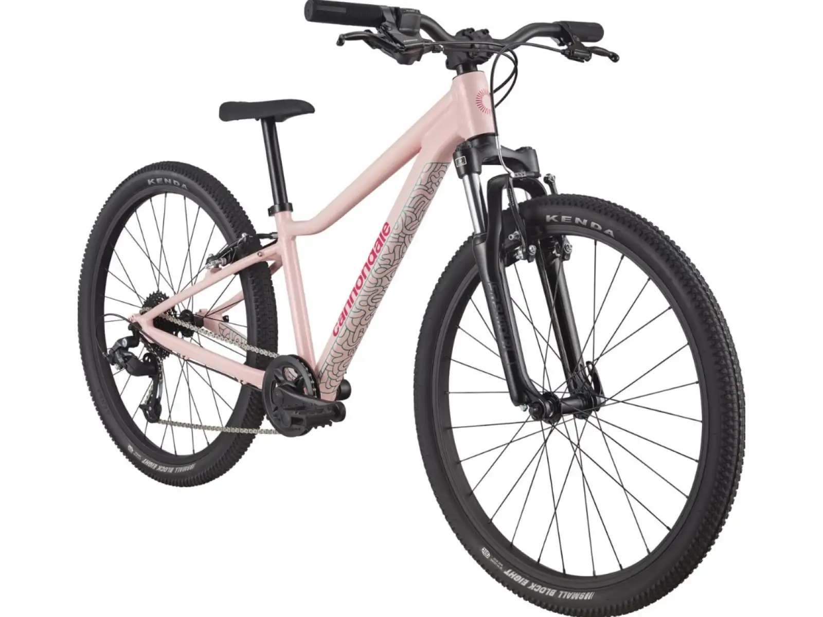 Cannondale Trail 24 Kinderfahrrad DPK